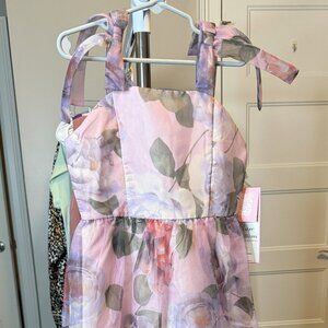 Girl's Rare Editions Sleevleess Floral-Printed Organza Long Dress, Size 7, NWT